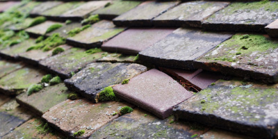 Kings Ash roof repair costs
